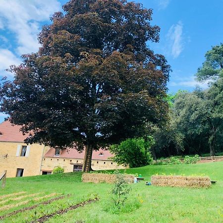 L'Ecrin Des Symes Villa Simeyrols ภายนอก รูปภาพ