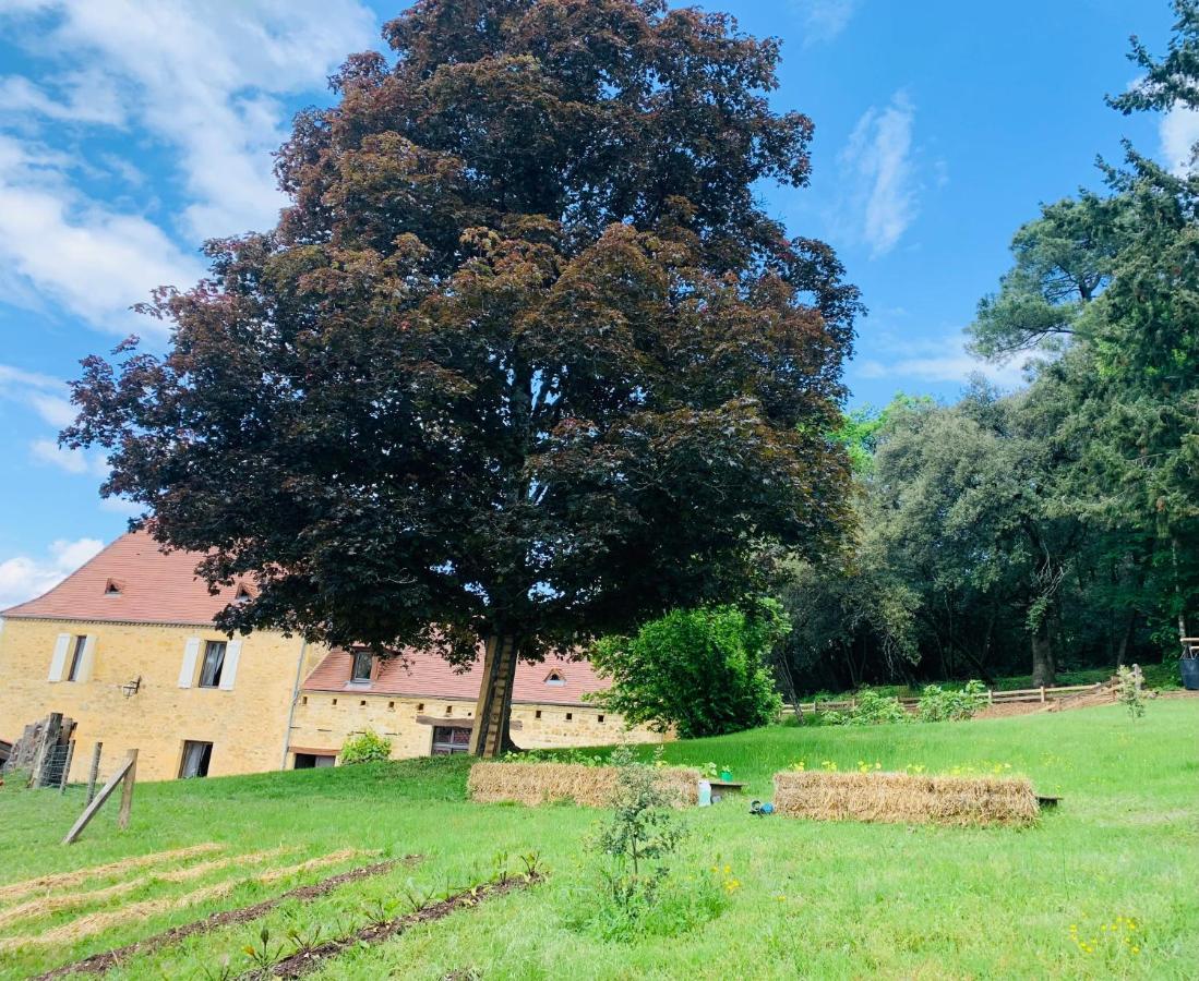 L'Ecrin Des Symes Villa Simeyrols ภายนอก รูปภาพ