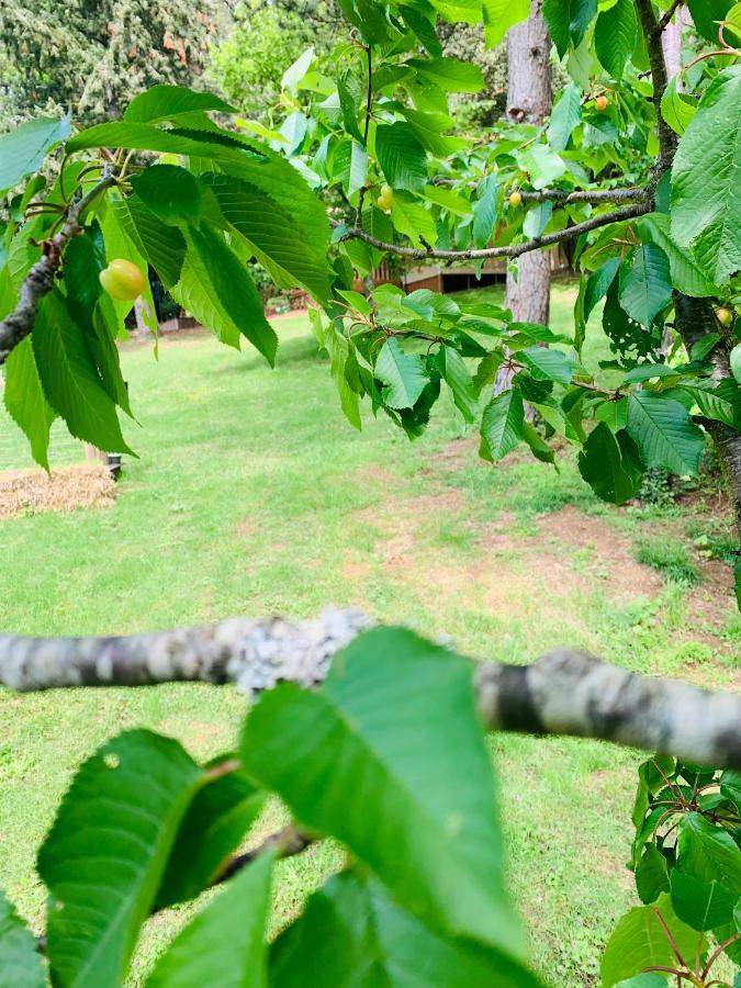 L'Ecrin Des Symes Villa Simeyrols ภายนอก รูปภาพ
